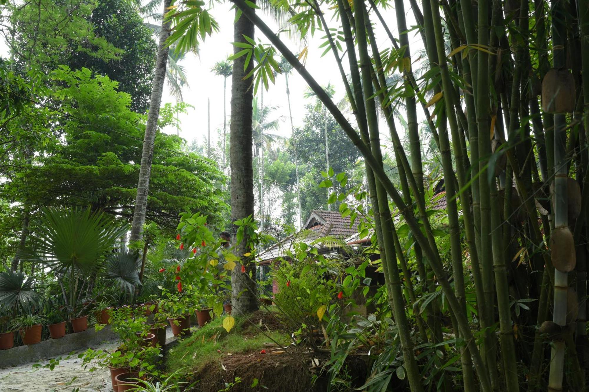 Coffee Island Resort Kaniyāmbetta エクステリア 写真