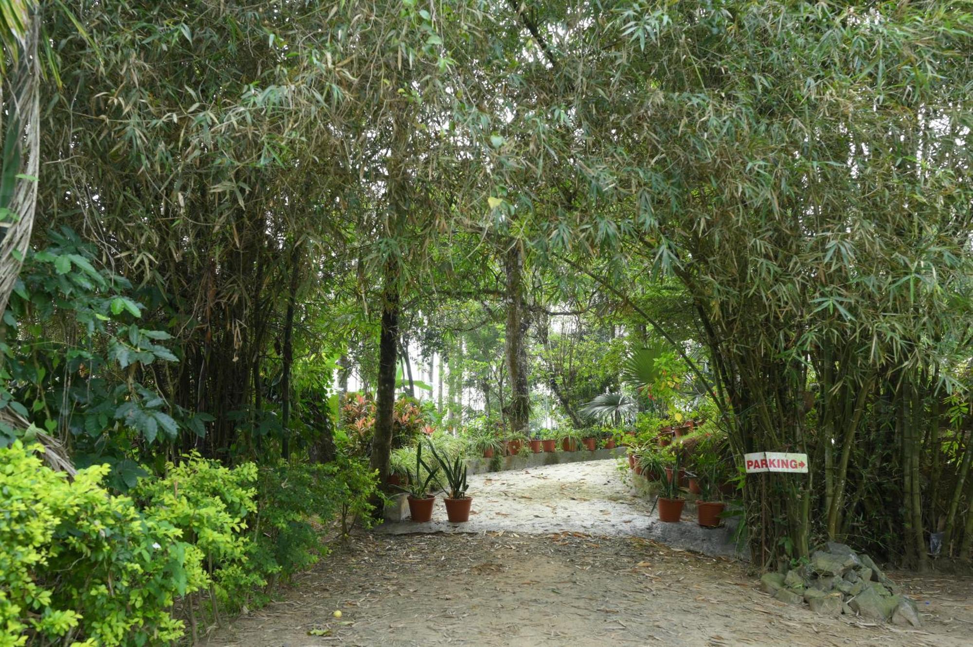 Coffee Island Resort Kaniyāmbetta エクステリア 写真