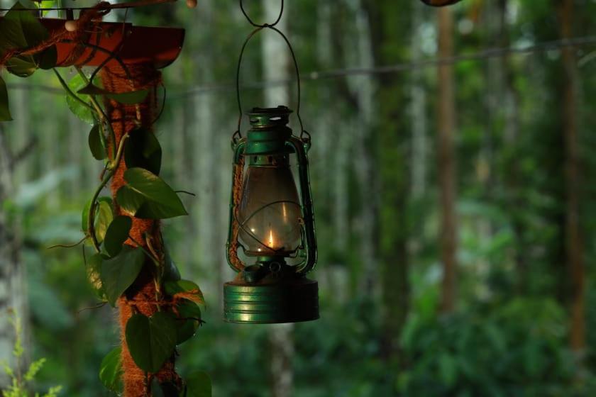 Coffee Island Resort Kaniyāmbetta エクステリア 写真