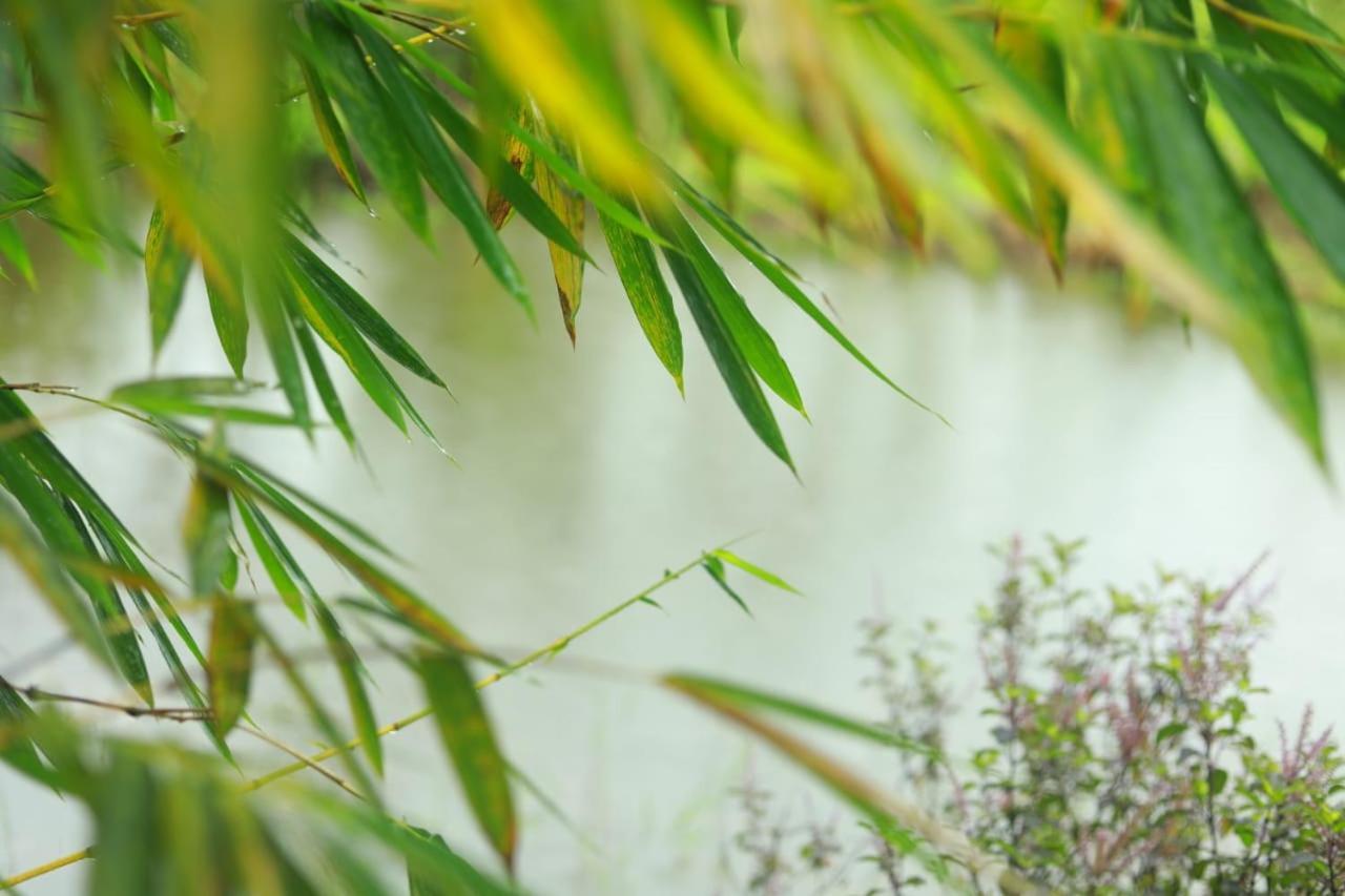 Coffee Island Resort Kaniyāmbetta エクステリア 写真